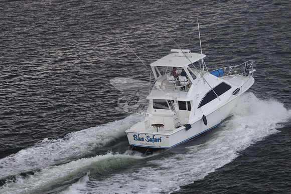 blue safari.laud.ocean.20