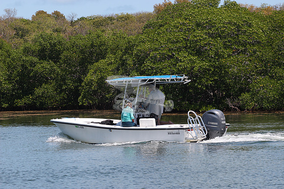 fl4339.privateer.0361