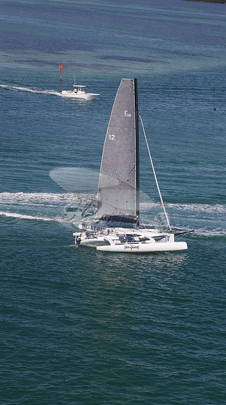 12.FL7451RF.TRIPLE THREAT.9340