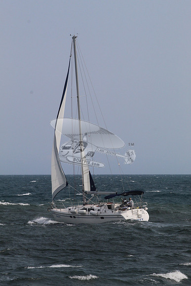 DAFFY.FL..SAIL.05