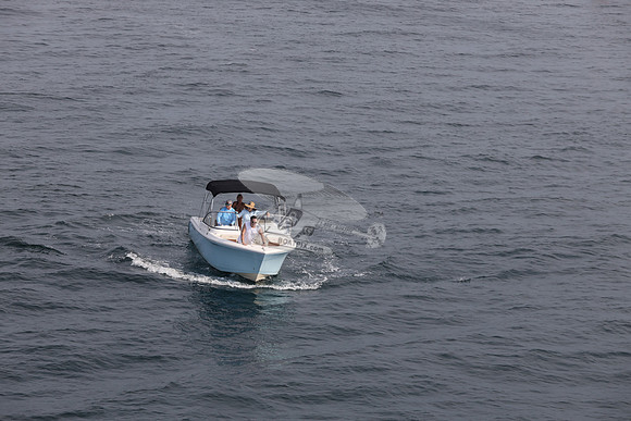FL0314TD.SEA YA.24