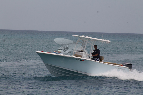 FL99 8SV.SPORTSMAN.403