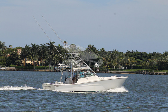 FISH HAPPENS.LANTANA FL.TOPAZ.14