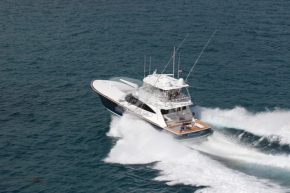 fins up.5874