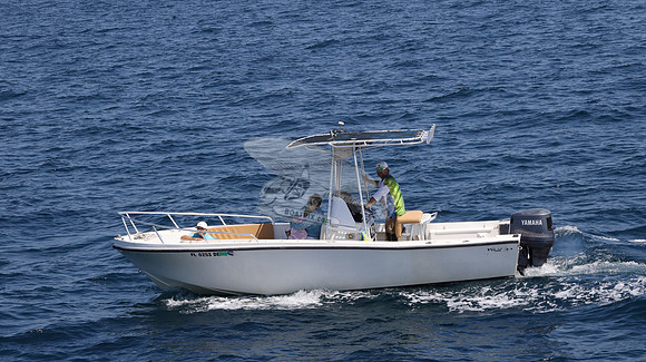 FL0253DE.11