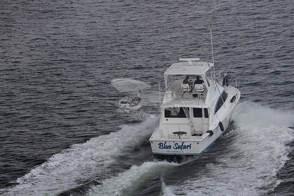 blue safari.laud.ocean.16