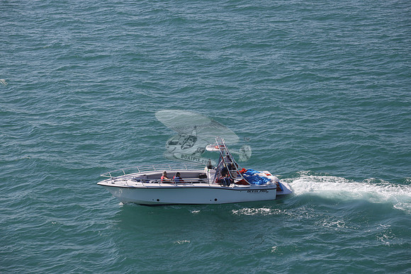 conch flyer.8274