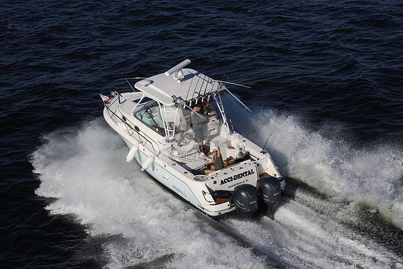 ACCI-DENTAL.JAX FL.ROBALO.05