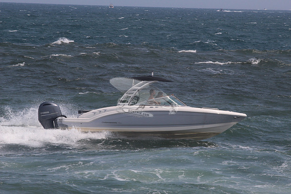 CHAPARRAL.GRAY W BLACK TOP.04