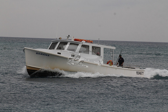 1124677.SAMANA.02