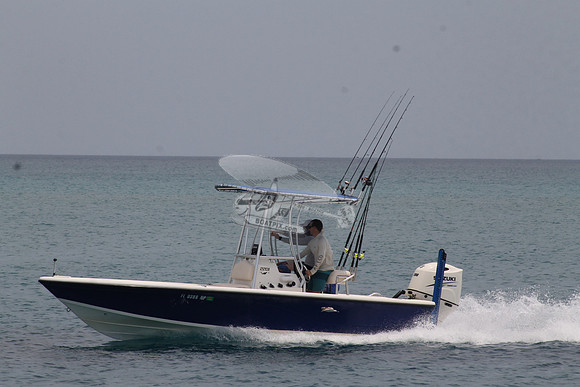 FL0398NP.402