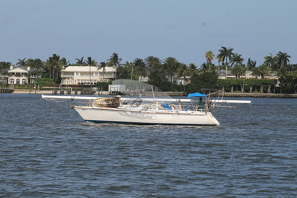 CL5587AN.17