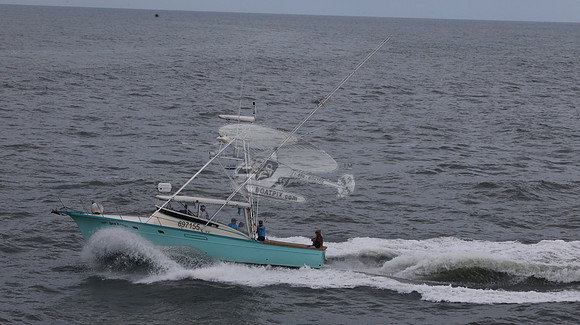 697155.hull's sea lover.ponce inlet fl.9442