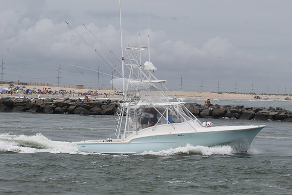 bella.4155