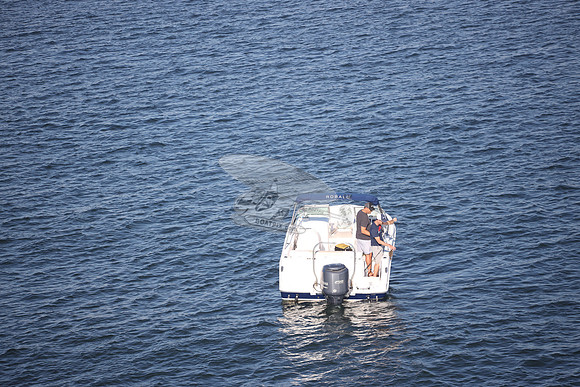 NJ2360HF MAYBE.BLUE DEVIL.3