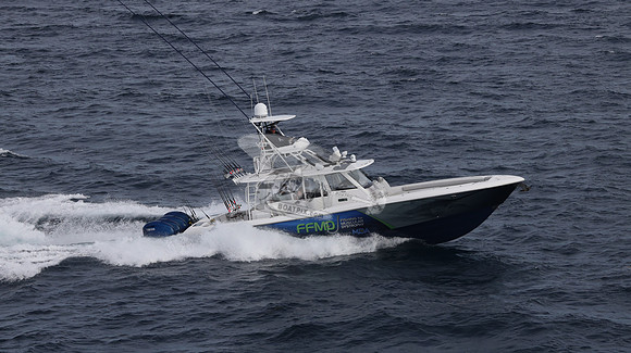FFMD.EVERGLADES.4 YAMAHA BLUE.2832