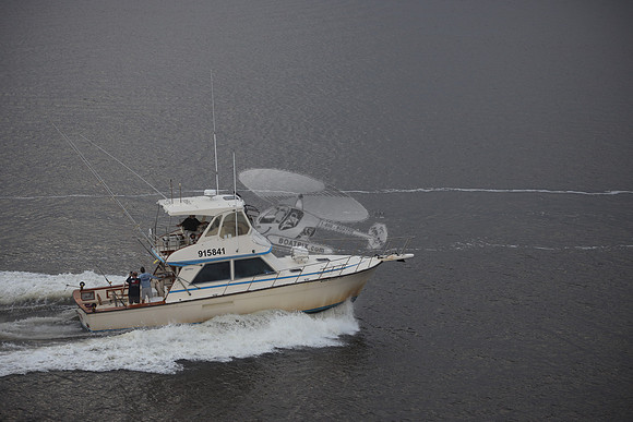 915841.WILD ROVER III.1203