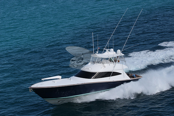 fins up.5882