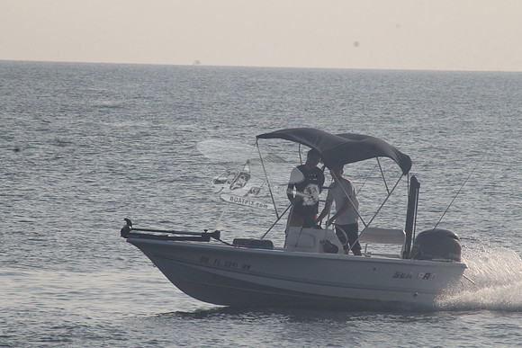 FL0341MW.01