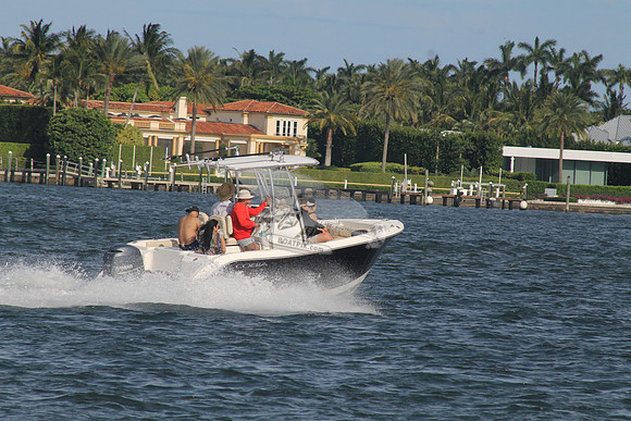 COBIA.BLACK HULL.14