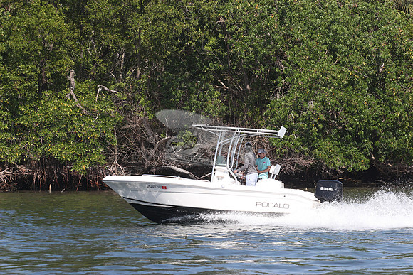 FL8017PR.4