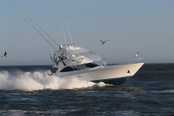 chain reaction.ocean city md.9947