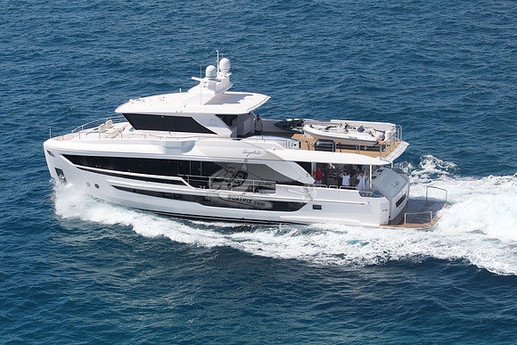 amphib.palm beach.5894