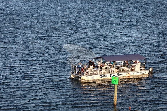 BAY WATCH.LEMON BAY TOURS..WOOD FL.01