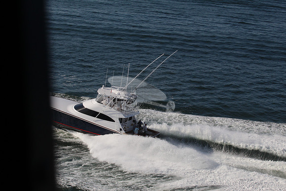 Blue Viking.5