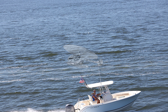 Cobia.yamaha 150. 10