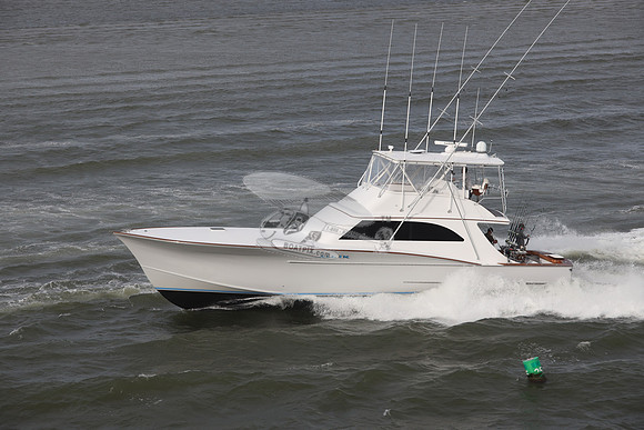 all in.manteo nc.3119