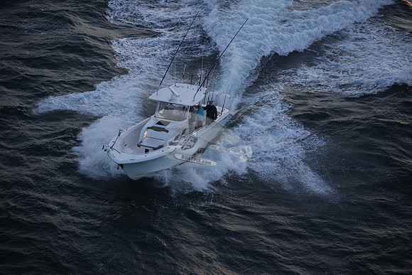 contingent seas.belleair bluffs .9041