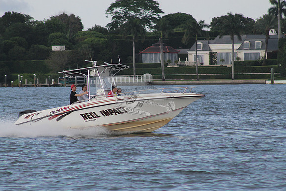 FL1151LD.01