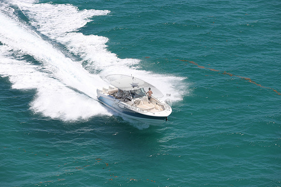 BOSTON WHALER.BLUE HULL.3124