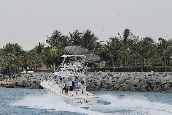 DIRTY BLONDE.JUPITER FL.PURSUIT.10
