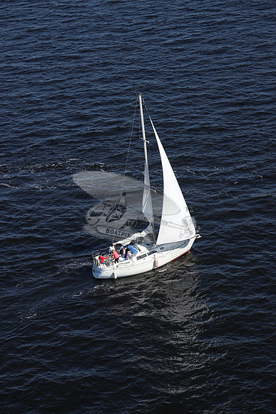 00000.FL6014SL.TAZZ.3786
