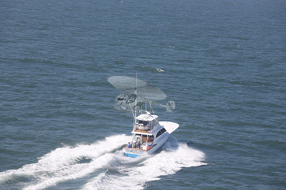 fish repellent.ocean city md.9348