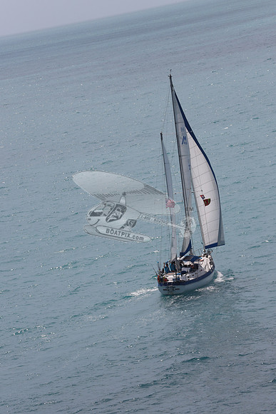 23.sea eagle.islamorada fl.3083
