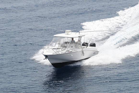 1293867.reel life.boston whaler.23