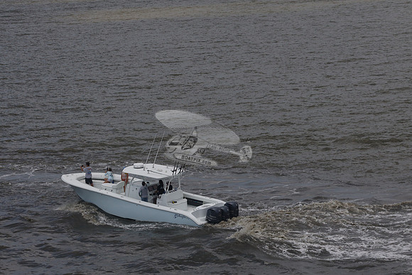al.yellowfin.05