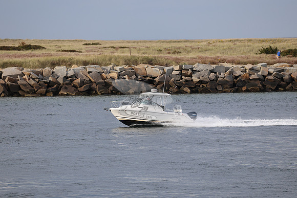 ms7202bx.1
