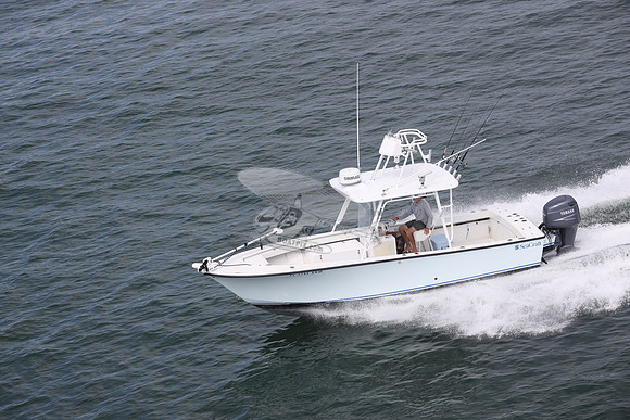 DL5745AH.10
