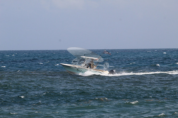 fl1368rs.full of bull.1730