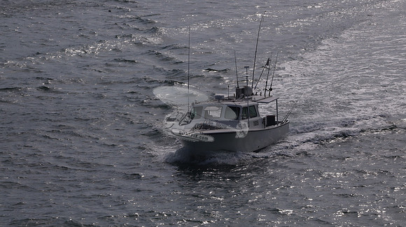 1150151.FISHIN OFF.41
