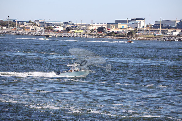 COBIA.FL2025RL OR FL2925RL.1