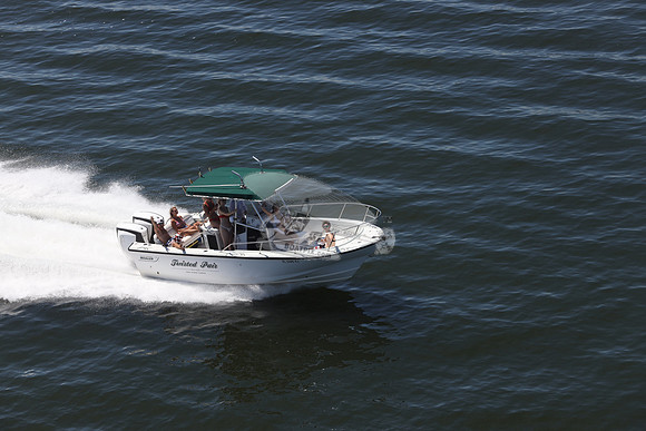 fl0146kj.10