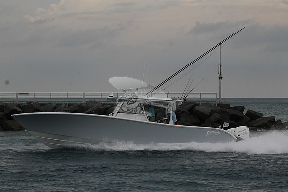 CRY..YELLOWFIN.06