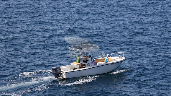 FL0253DE.115