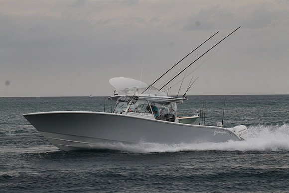 CRY..YELLOWFIN.05