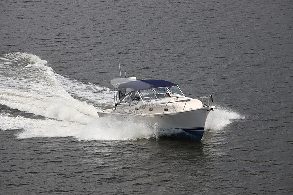 DIAMONDBACK.4602
